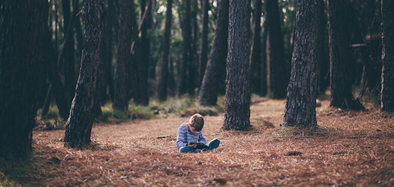 Image of young bot sitting alone in expansive forest reading a book