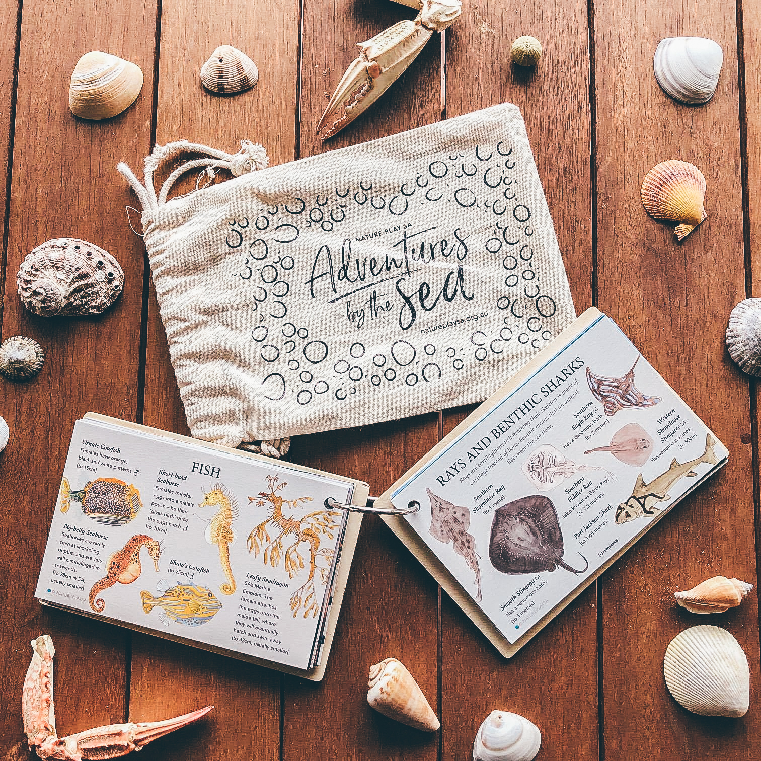 Adventures by the Sea