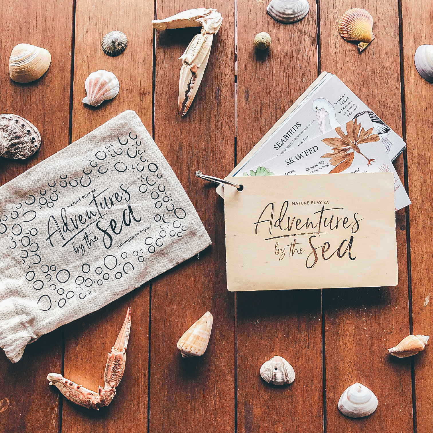 Adventures by the Sea