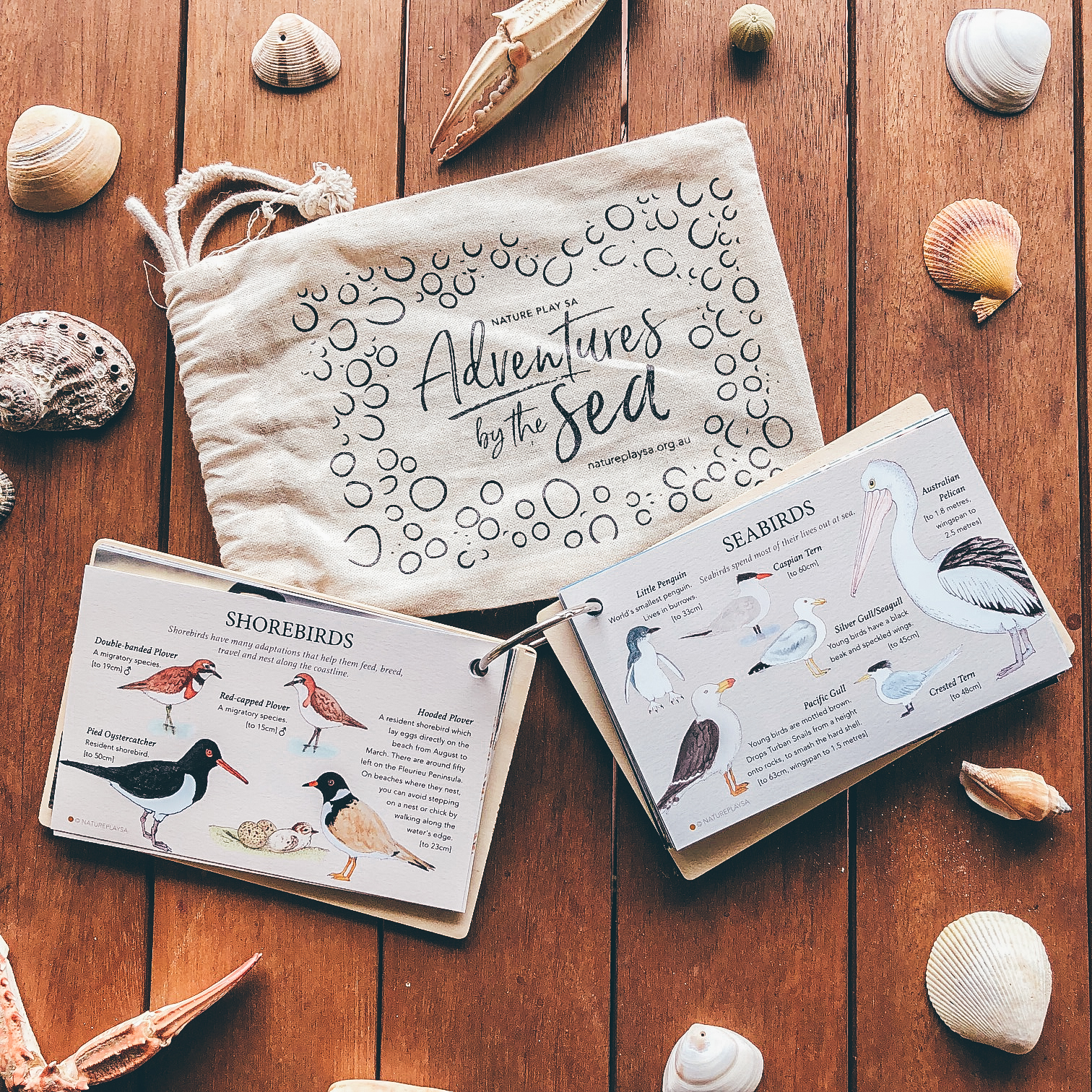 Adventures by the Sea