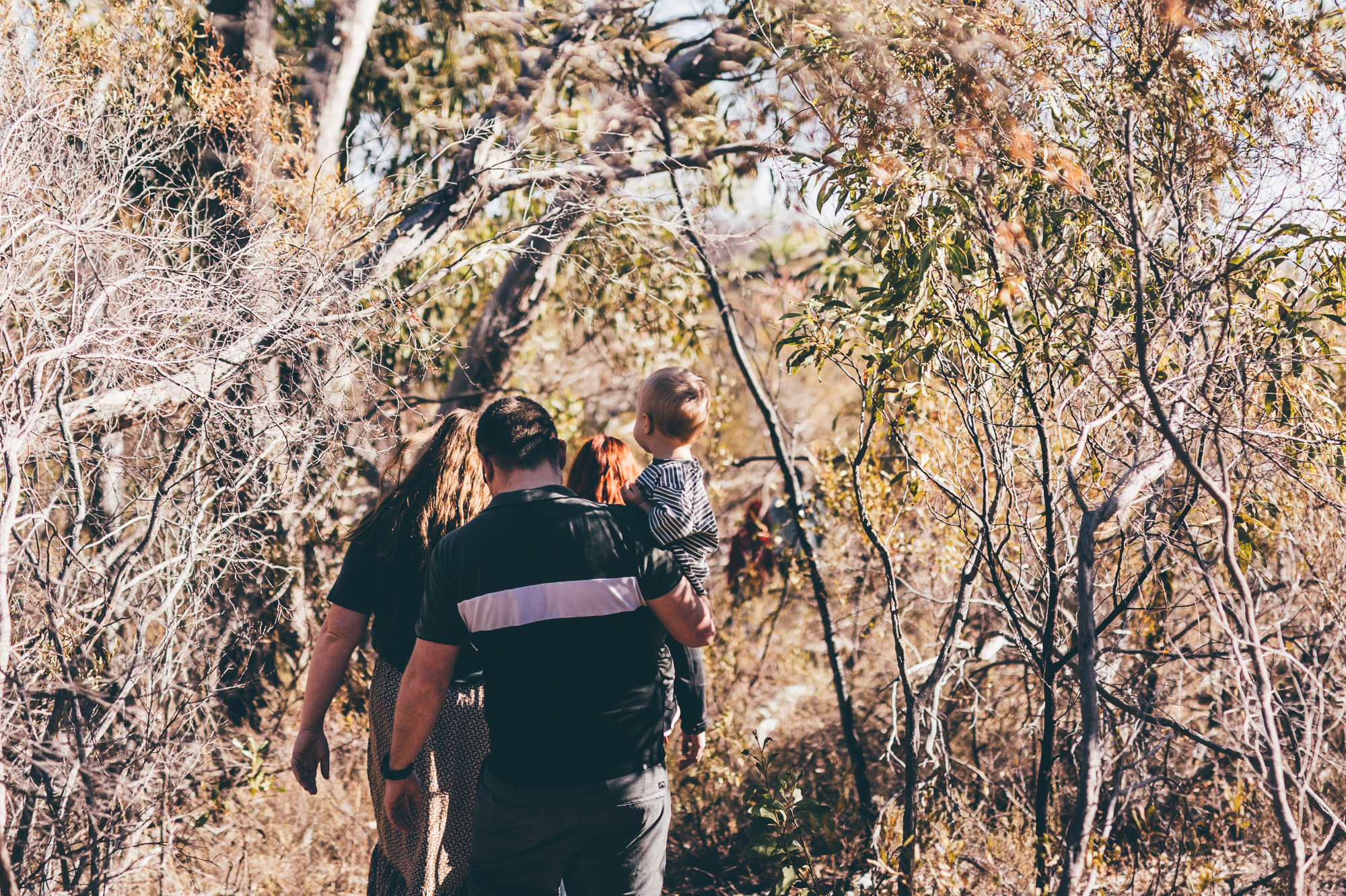 LIZARD ROCK HIKE, PARA WIRRA CONSERVATION PARK