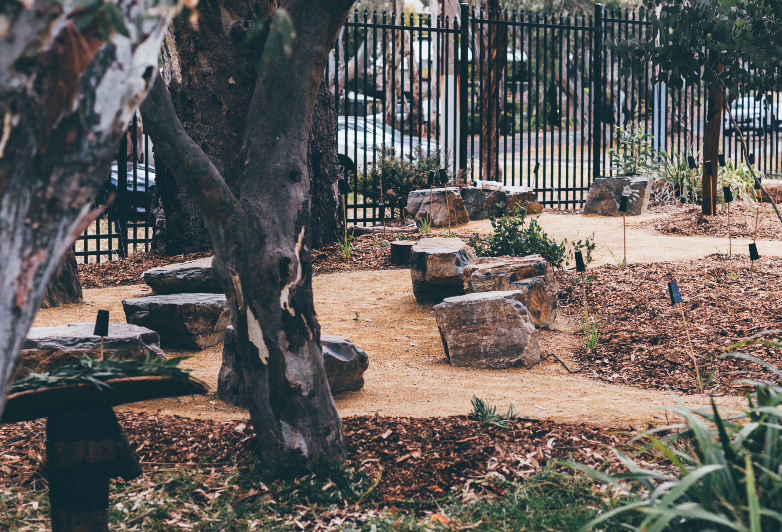 Supporting Cultural Connection and Belonging at Aberfoyle Park High ...