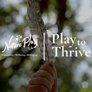 Play to Thrive: Full Course (Stage 1 + 2)