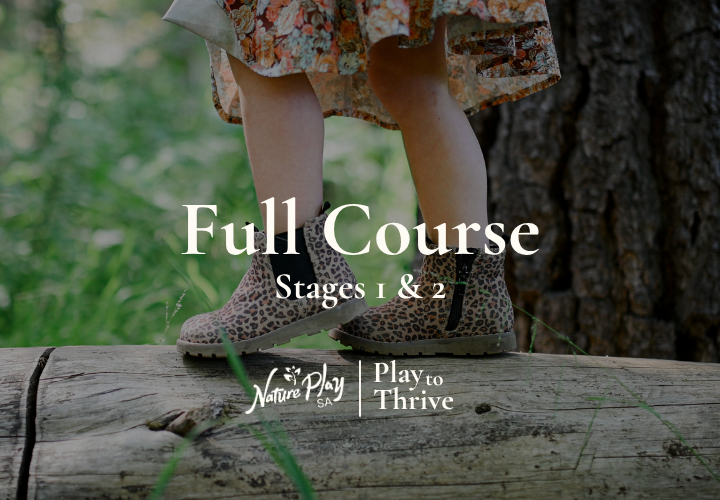 Play to Thrive: Full Course (Stage 1 + 2)