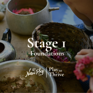 Play to Thrive: Stage 1 - Foundations