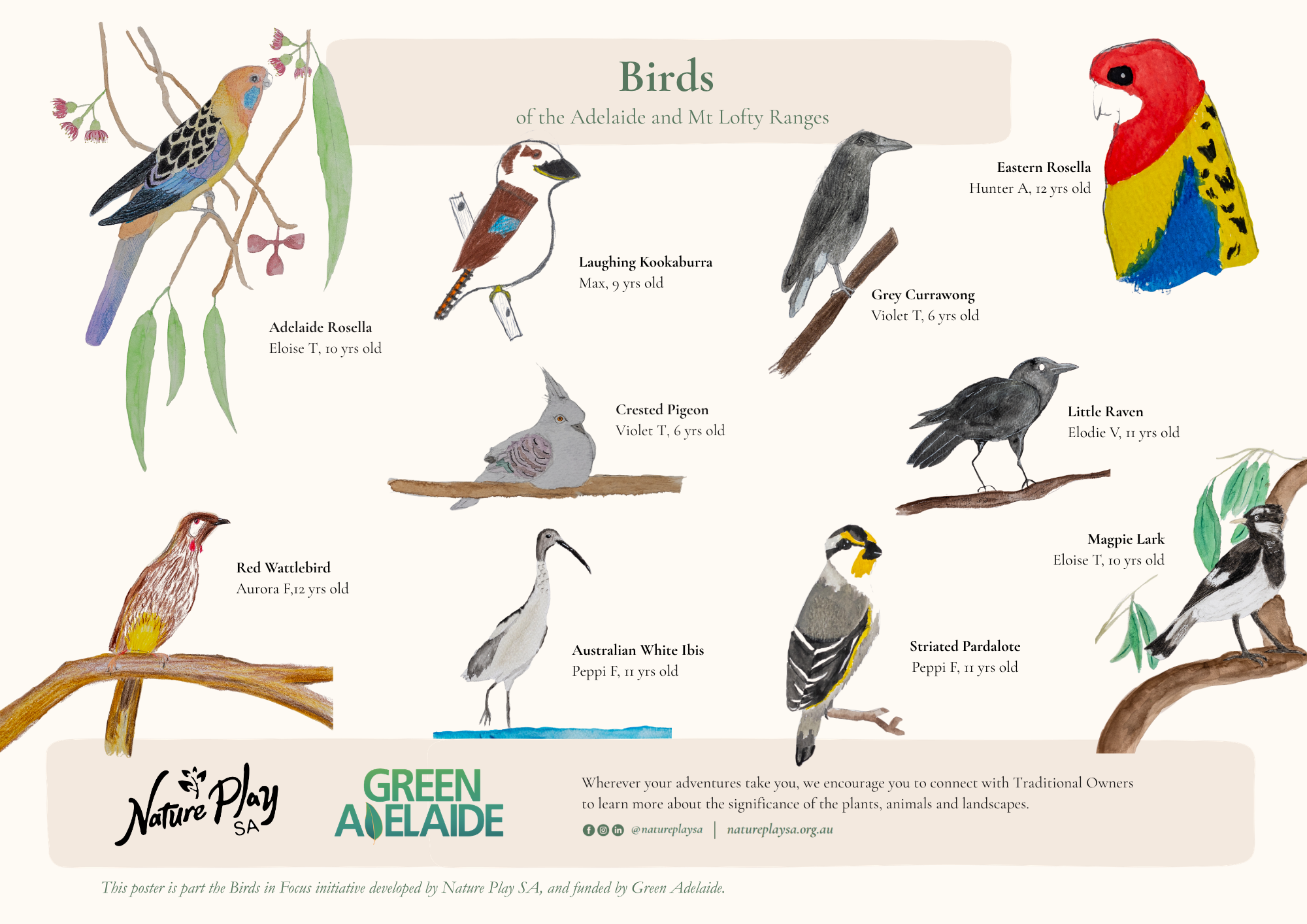 Birds of the Adelaide and Mt Lofty Ranges