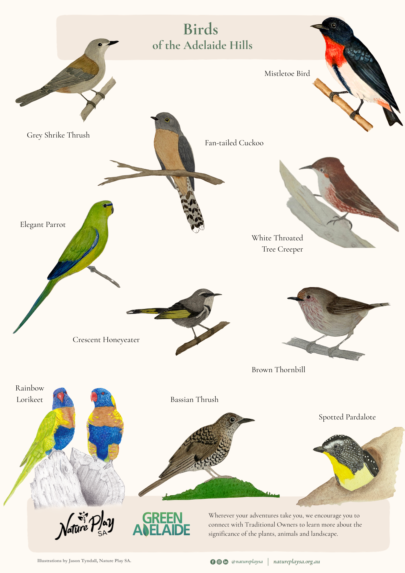 Birds of the Adelaide Hills