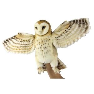 Barn Owl