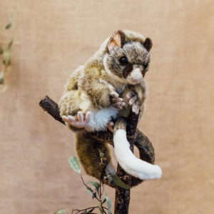 Hansa Possum Puppet