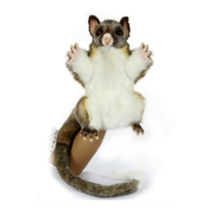 Possum